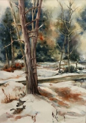 Door County Red Cedar, watercolor, 2019 Red Cedar