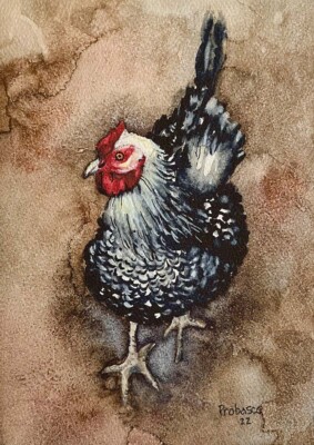 Fletcher's Chicken "Lacy", watercolor on clayboard, 2022 Fletcher's Chicken