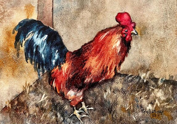Martha's Rooster, watercolor on clayboard, 2022 Martha's Rooster
